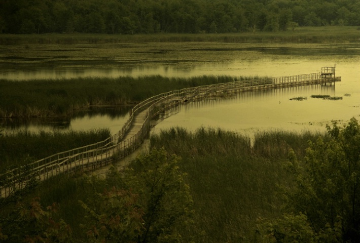 Bridge over still waters