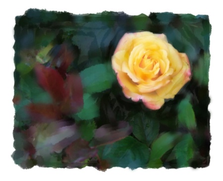 Part 2&3: Yellow Rose