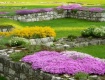 Spring carpets