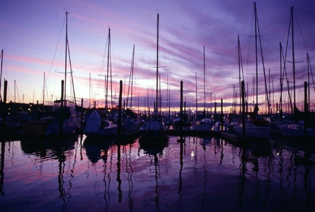 Westhaven Auckland New Zealand