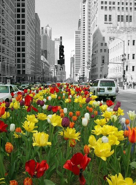 Spring Colors On Michigan Avenue
