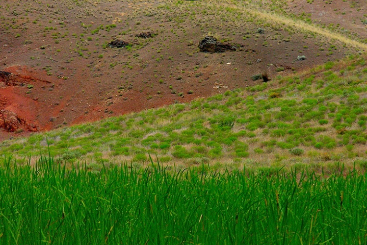 2 Hillsides and Marsh Grass