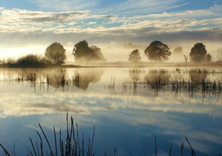 Fog on the River