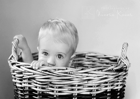 Baby in a Basket