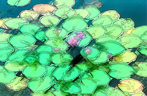 lily pads - after