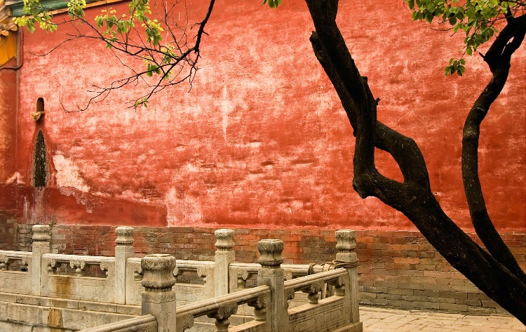 Red Wall and Tree