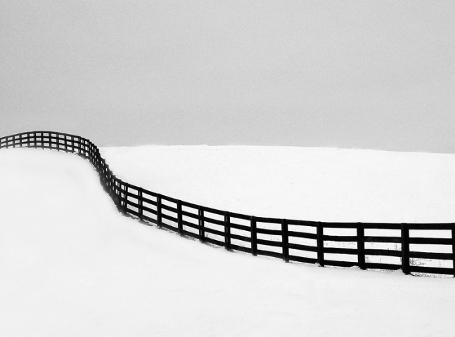Winter Fenceline