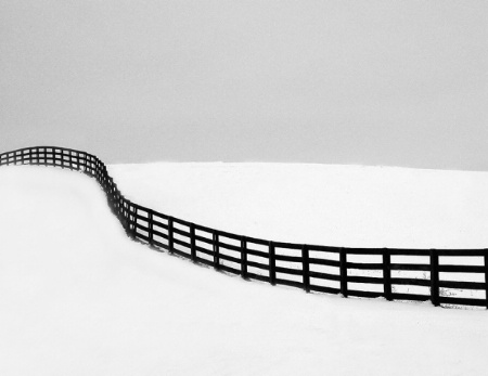 Winter Fenceline