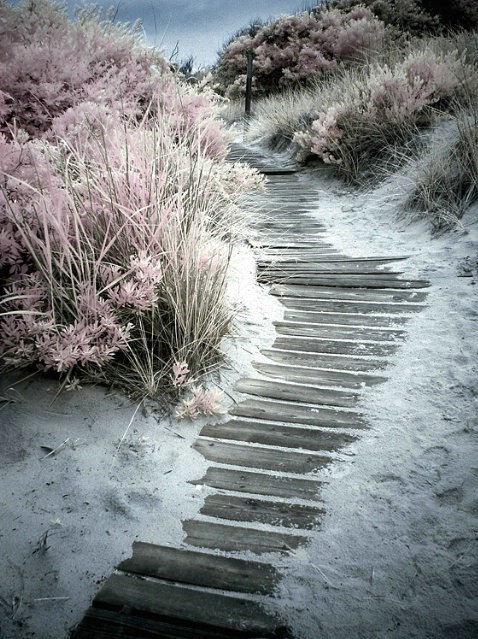 Walkway to the Sea II