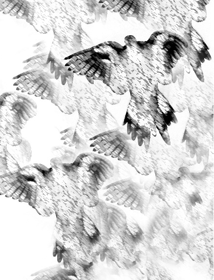 img14