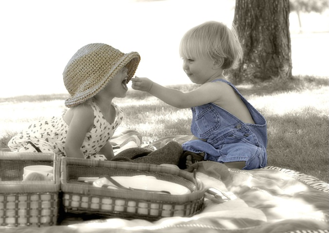 Picnic at the Park