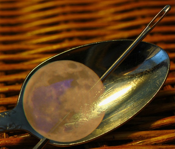The Needle & The Spoon