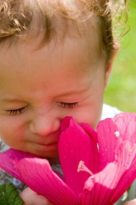 Eliana Learning the Art of Smelling Flowers