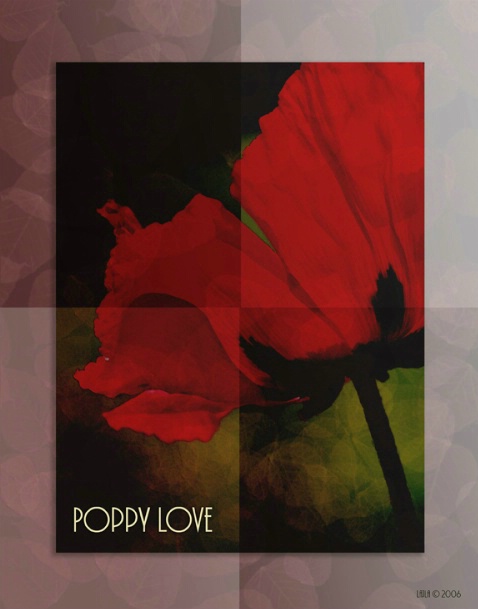 Poppy Love Chocolate