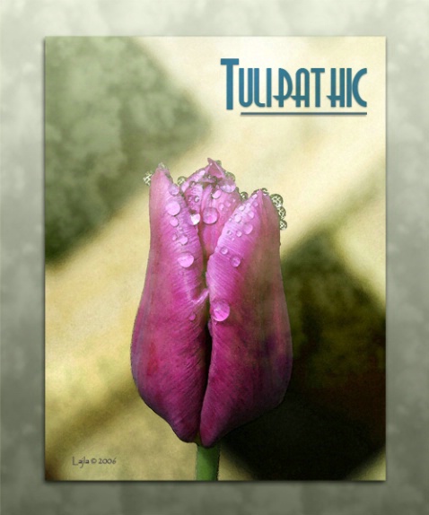 Tulipathic