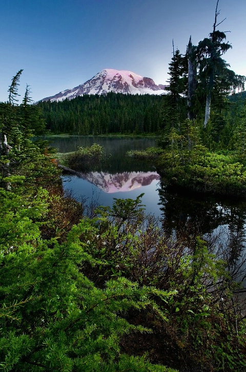 Mt. Rainier Sunrise Reflection