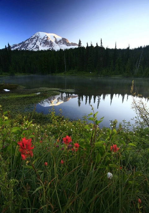 Rainier with Paintbrush