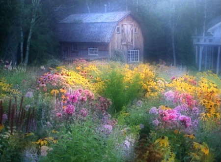 A Summer Garden