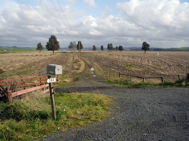 Hauraki Plains New Zealand- After the Harvest 3