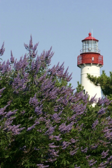 From the Garden to the Lighthouse