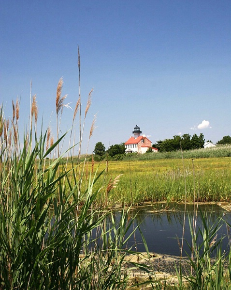 Marsh View of the Lighthouse