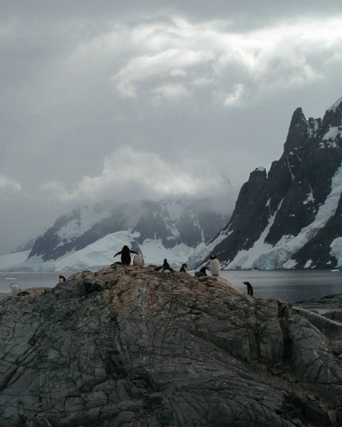 Antarctic Landscape 4