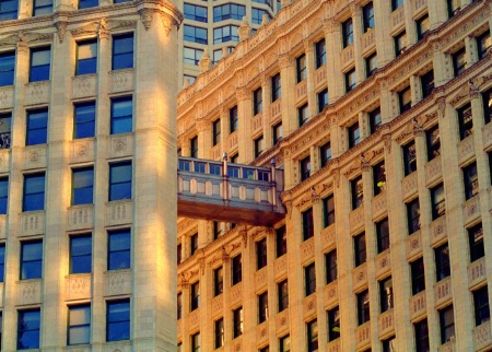 Wrigley Building Bridge