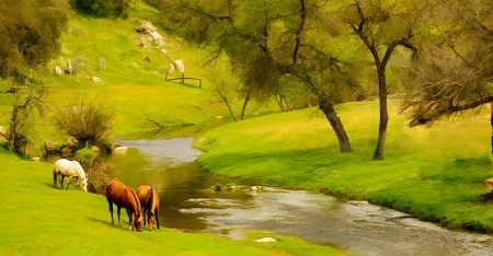 Spring Pasture