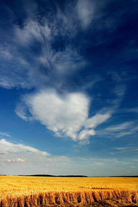 Heart of Cloud