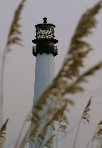 lighthouse @ 80mm