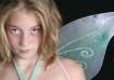 Fairytopia II