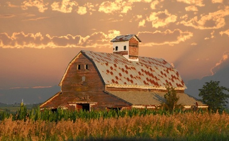 Nebraska Evening