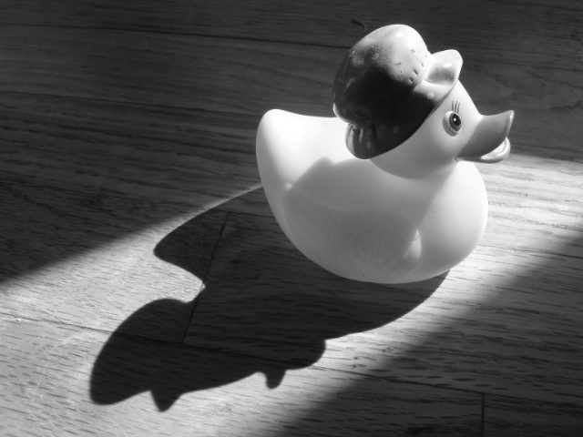 Rubber Duckie & His Shadow