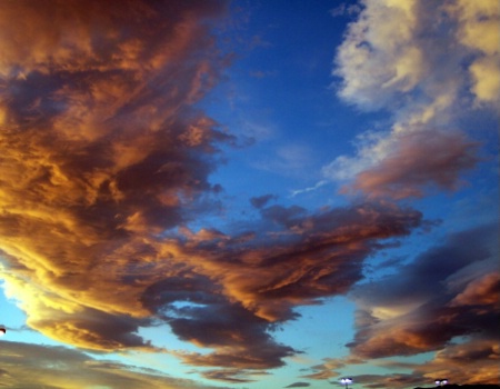HEAVENLY SKYS