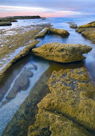 Low Tide