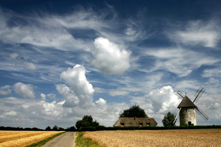 Summer Mill