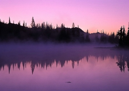 Mt. Rainier National Park