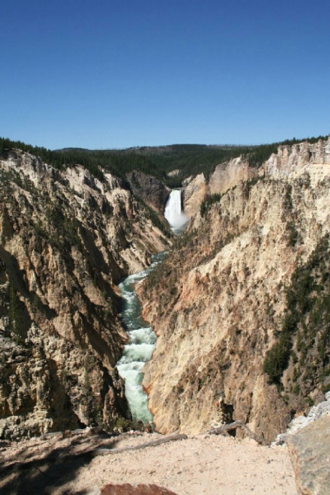 Lower Falls of Yellowstone National Park