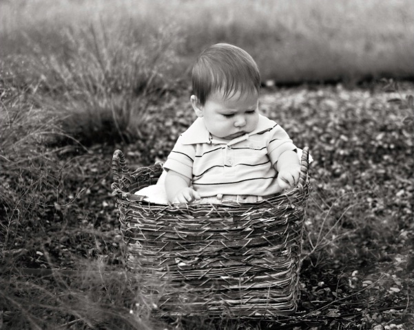 baby in a basket