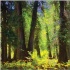 © Endre Balogh PhotoID # 2500611: CD Trayliner