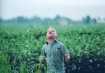 field of dreams