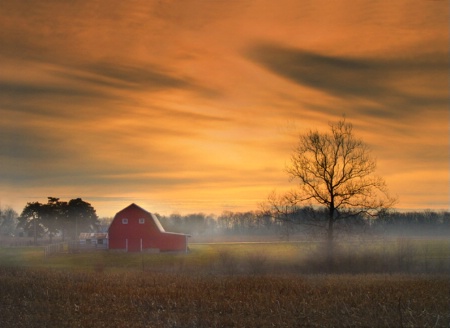 Misty Morning