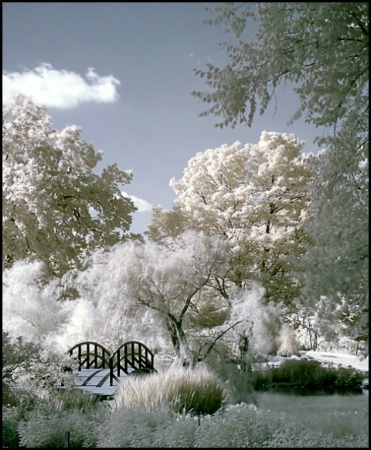 Monet Bridge