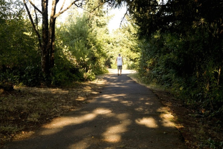 Trail along lake