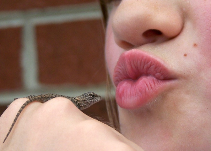 Lizard Lips
