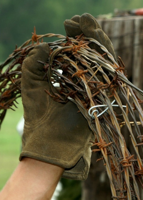 Fixin' Fence