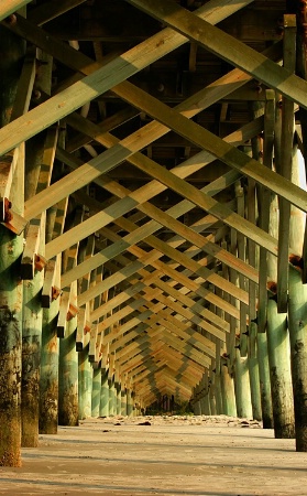 Early Morning Under the Pier