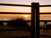 Golden Sunset