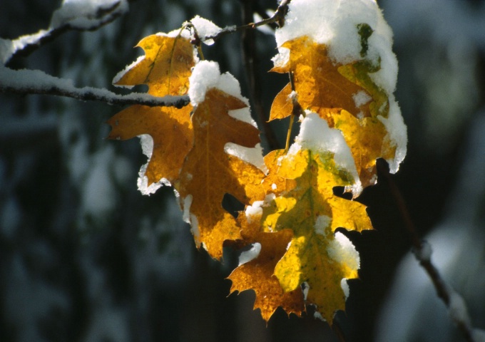 Autumn and Winter