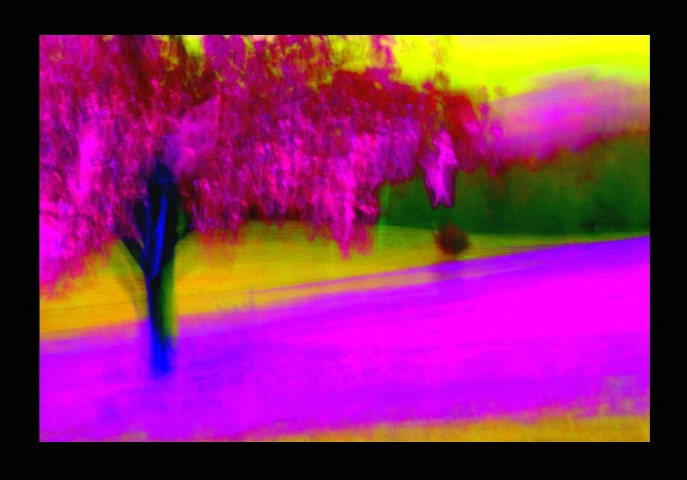 img4